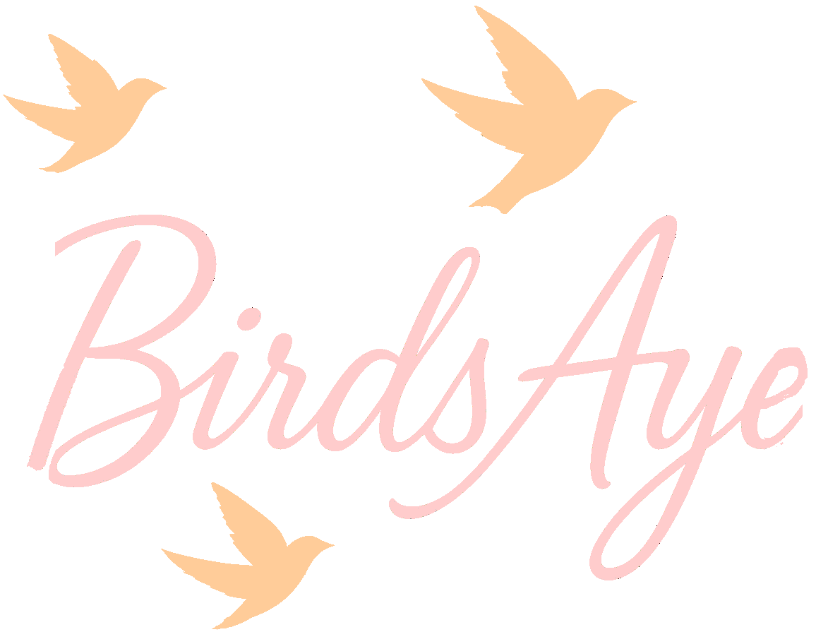 BirdsAye Logo